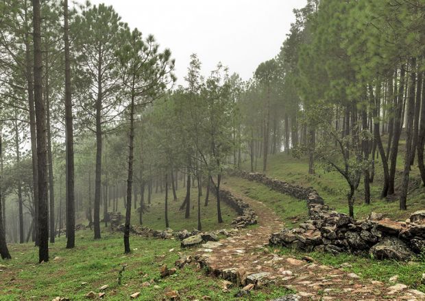 Best  hill station in uttarakhand